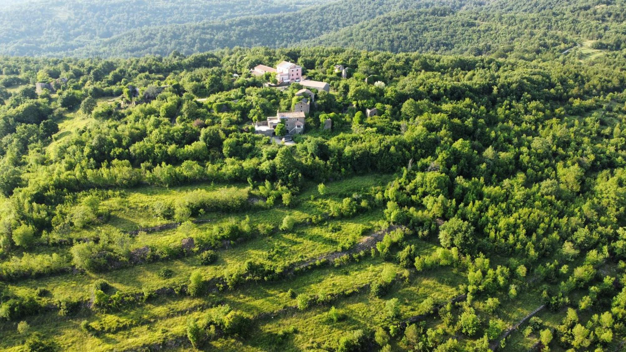 Вілла Casa Del Conte - Peaceful Hideaway In North Istria Ґрожнян Екстер'єр фото