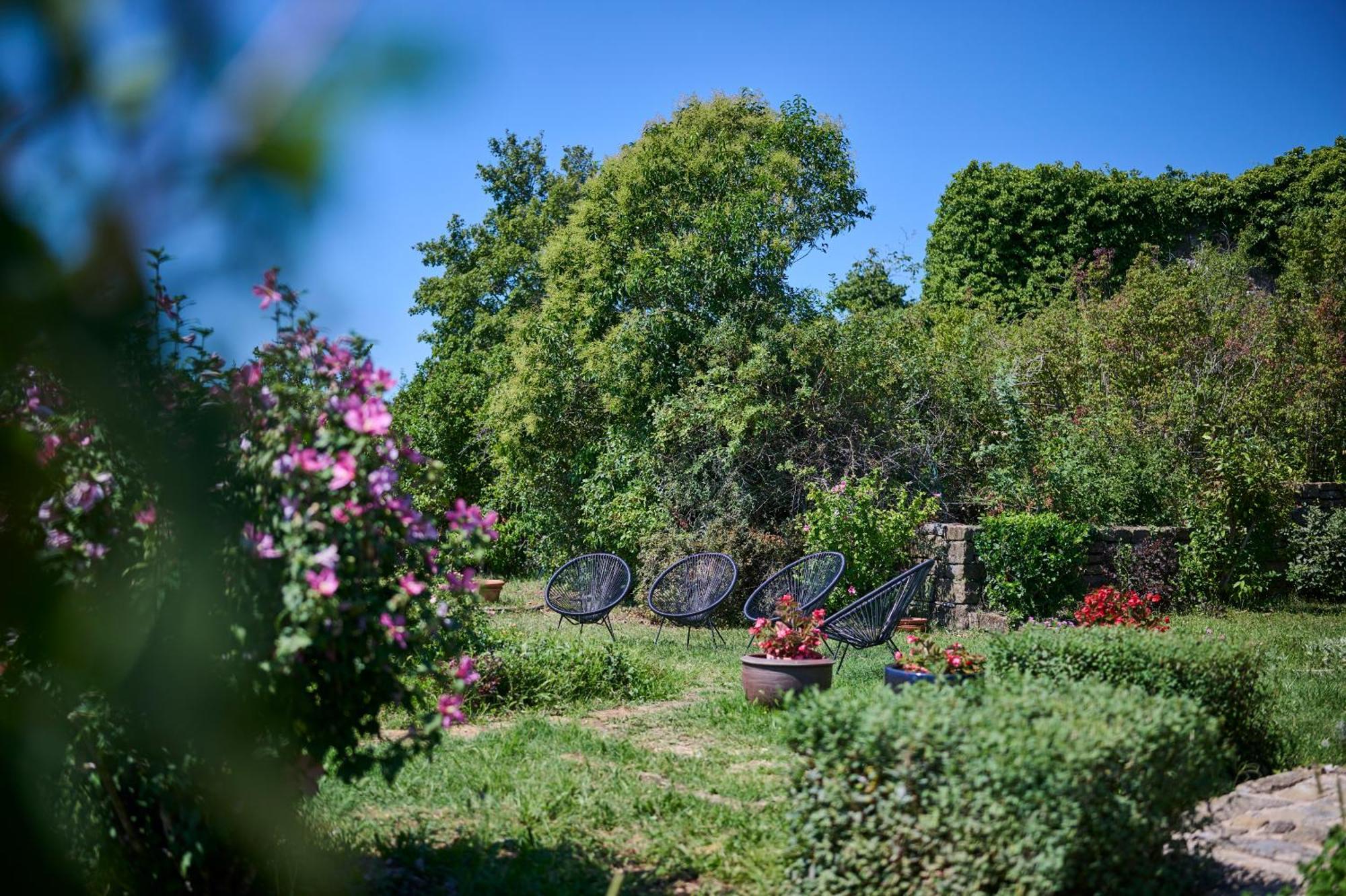 Вілла Casa Del Conte - Peaceful Hideaway In North Istria Ґрожнян Екстер'єр фото